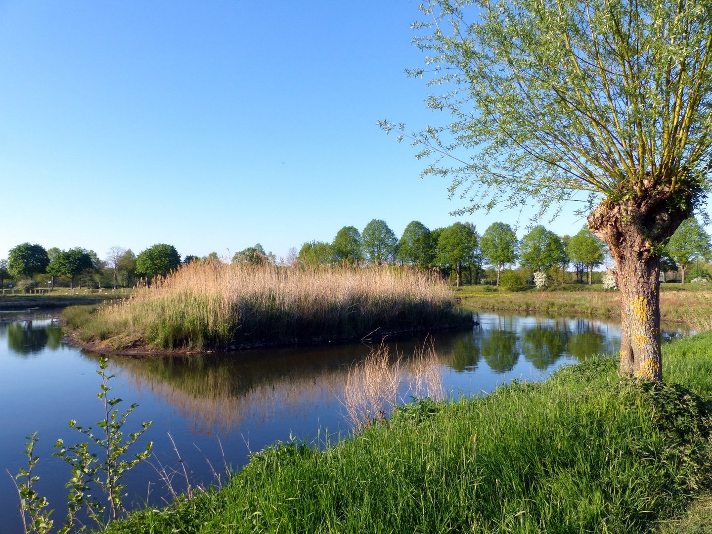 Stille Momente in der Natur