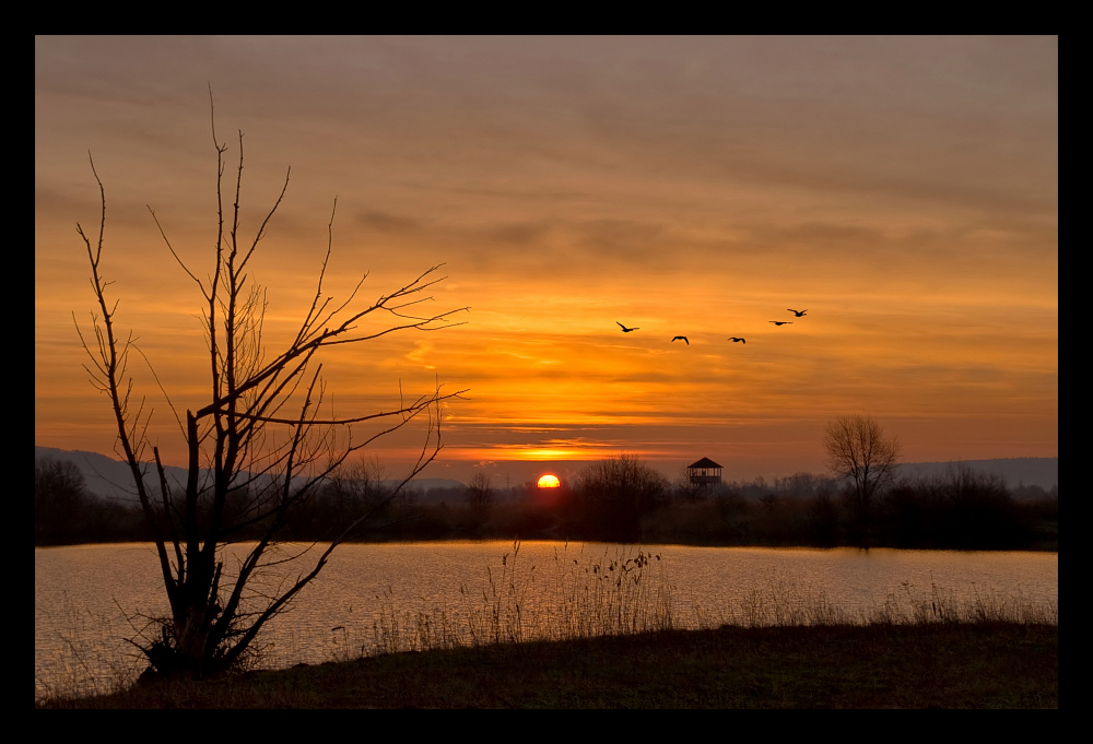 Stille Momente - Morgens am See