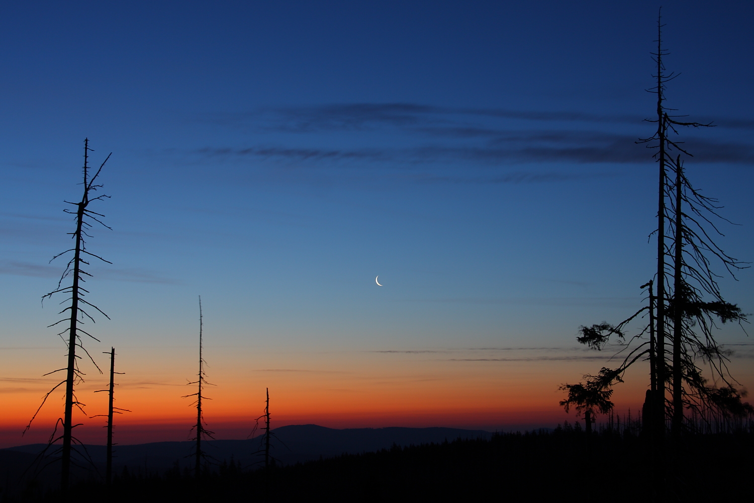 stille Morgenröte