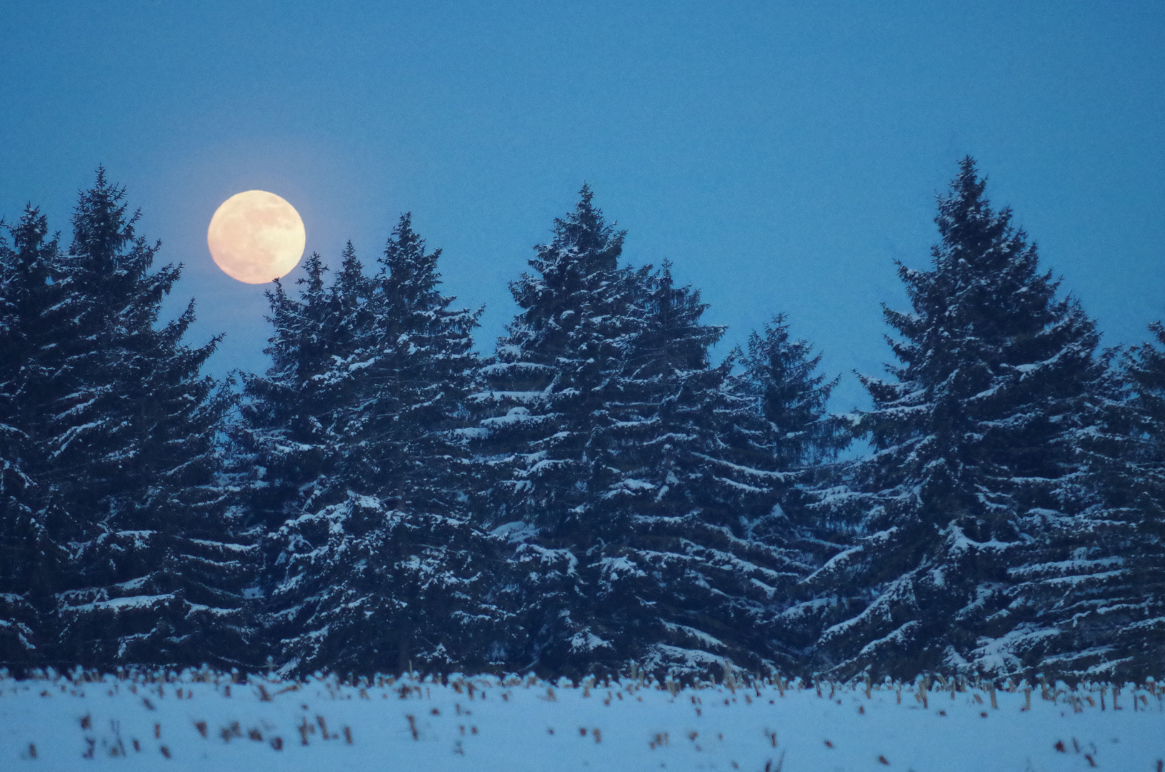 Stille Nacht, heilige Nacht ...