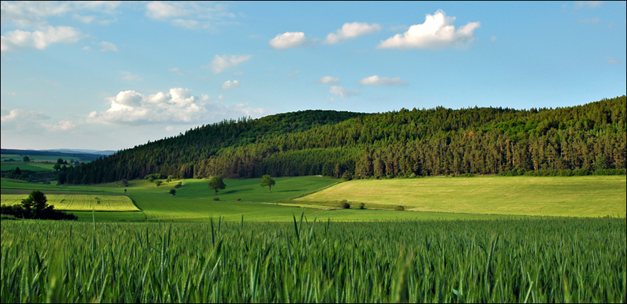 Stille Natur