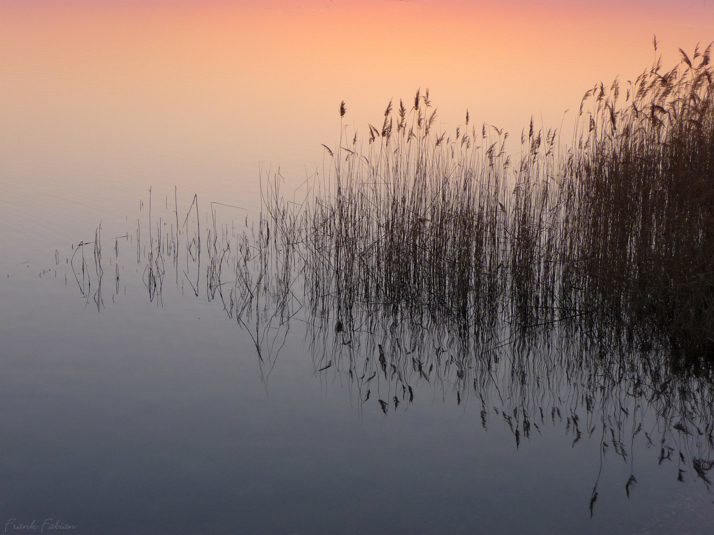 Stille Natur