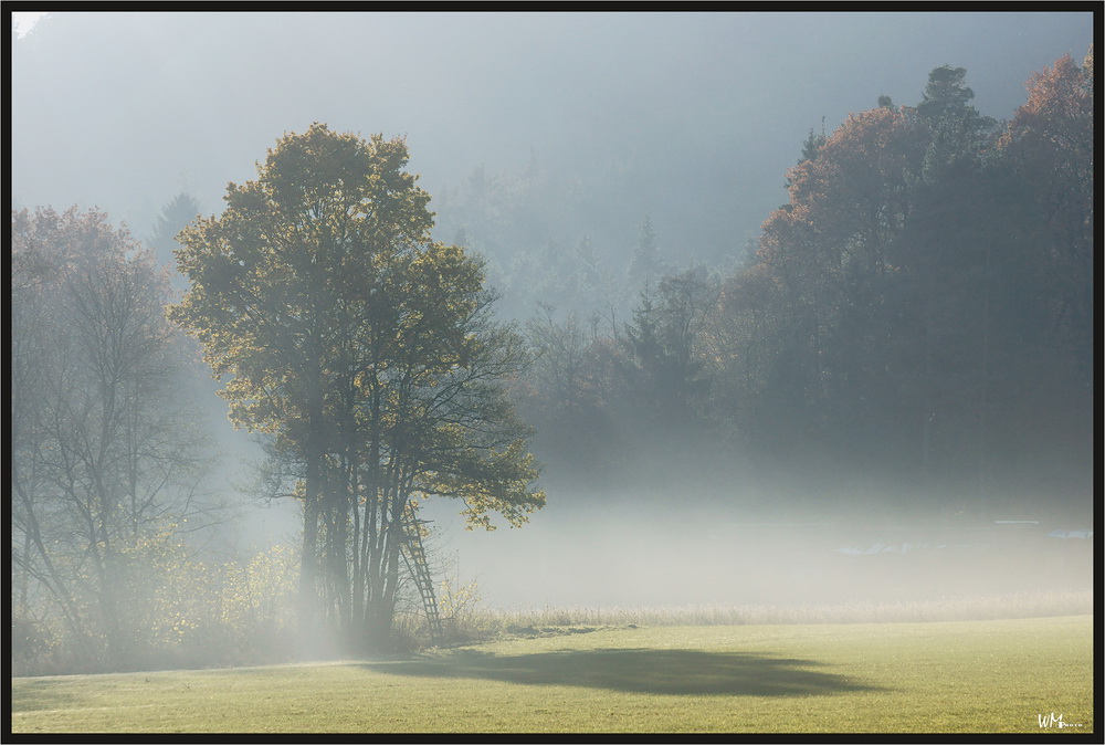 Stille Nebel