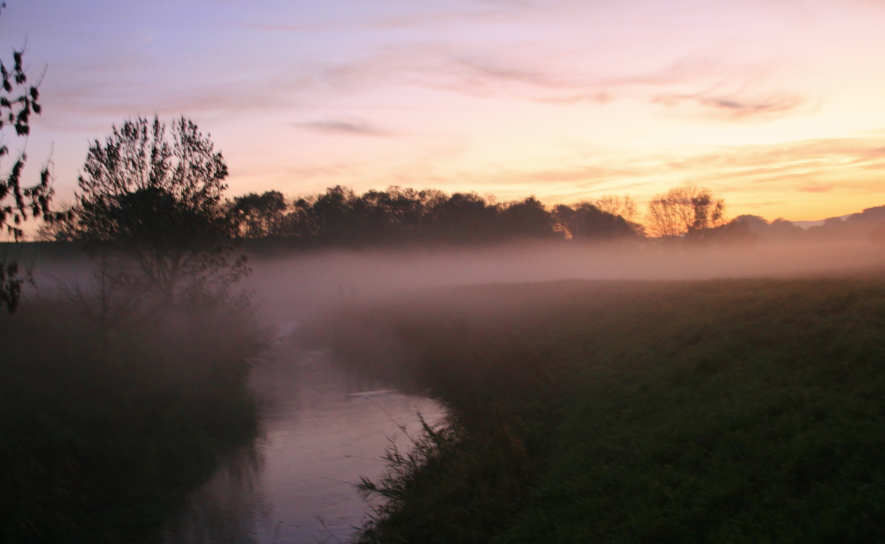 stille nebel