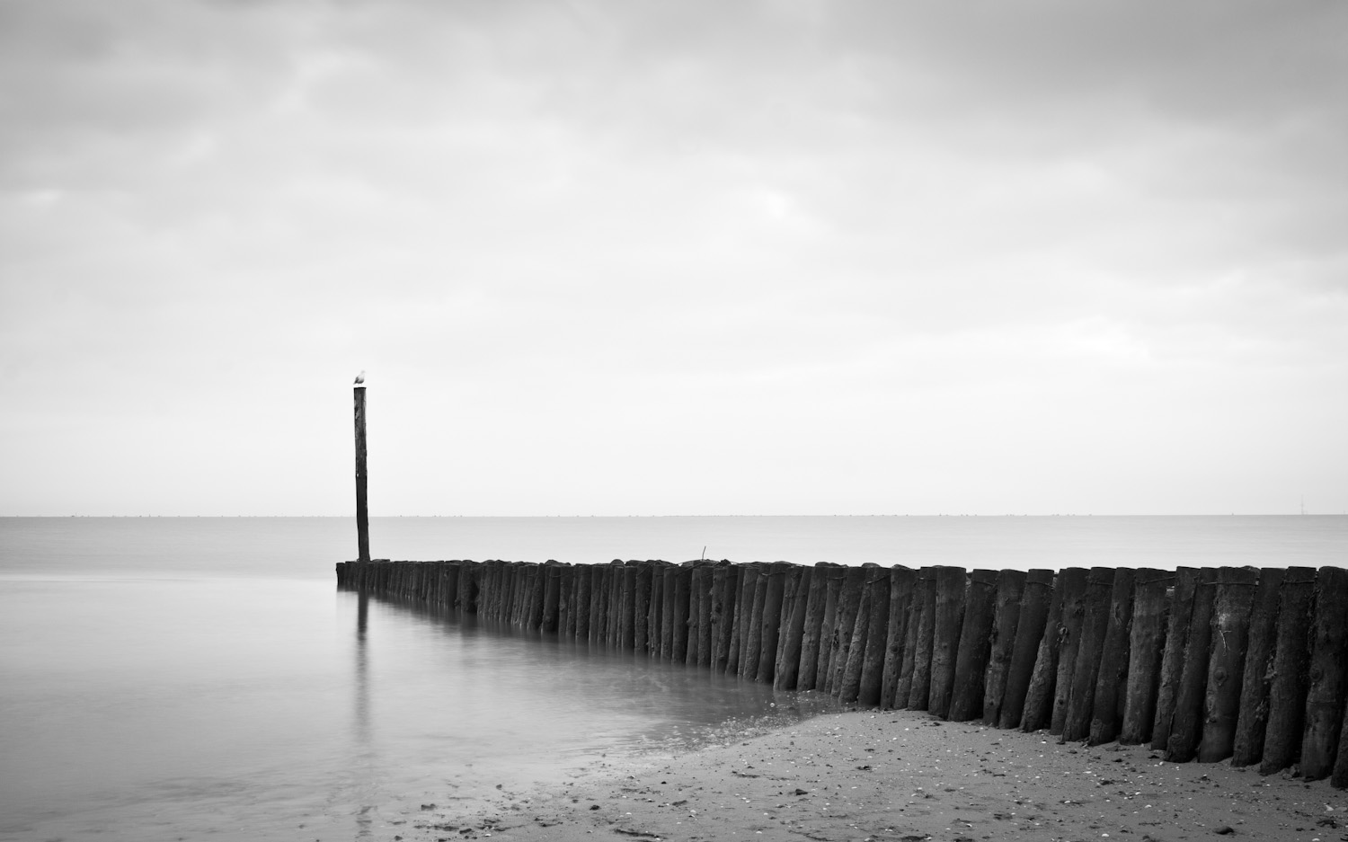 Stille Nordsee