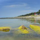 Stille Ostsee-Insel Hiddensee -Leuchtturm Gellen