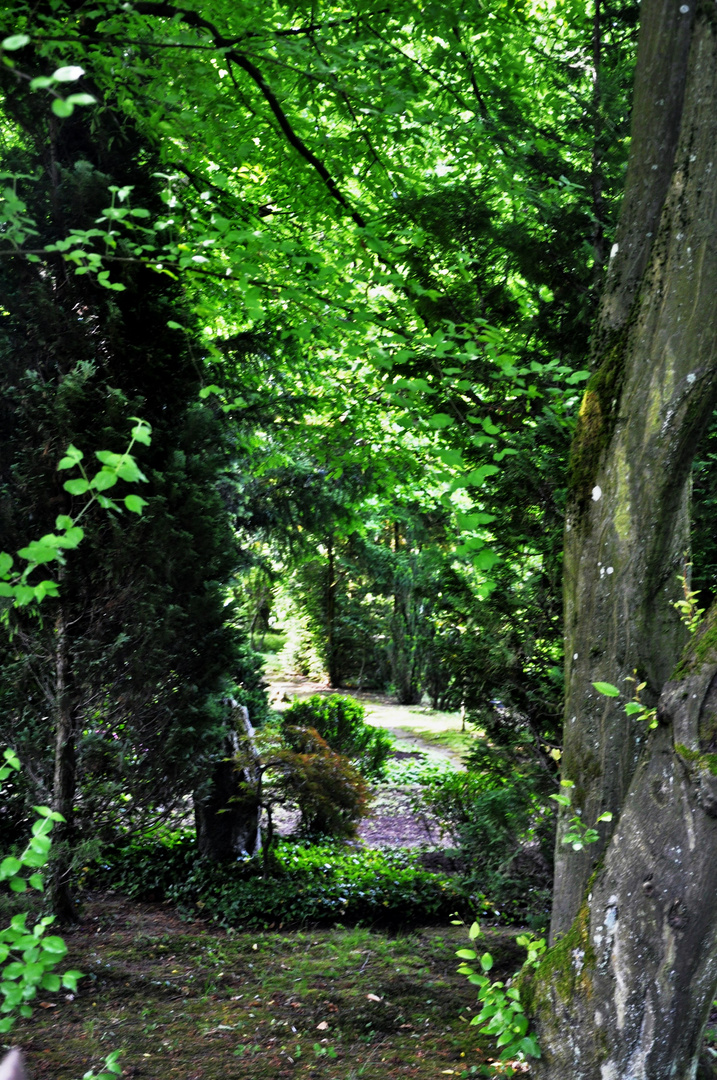 Stille Plätze der Ruhe