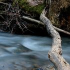 stille schönheit, des kalten klaren wassers!