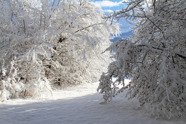 STILLE SCHÖNHEIT:  EINE REISE DURCH DIE VERSCHNEITE SCHWEIZ