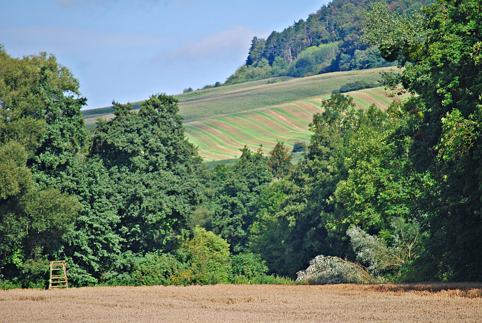 stille Sommerlandschaft...