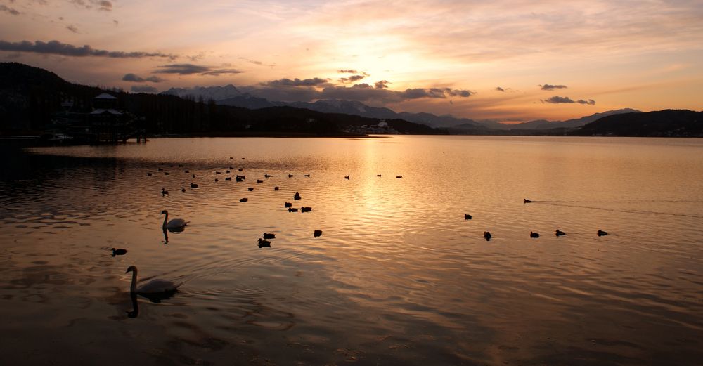 Stille Stunden am See