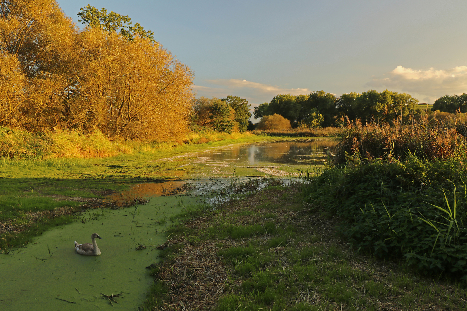 Stille Szene