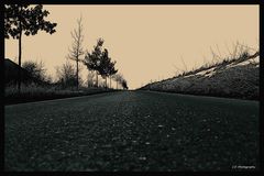 stille Tage in Asphalt