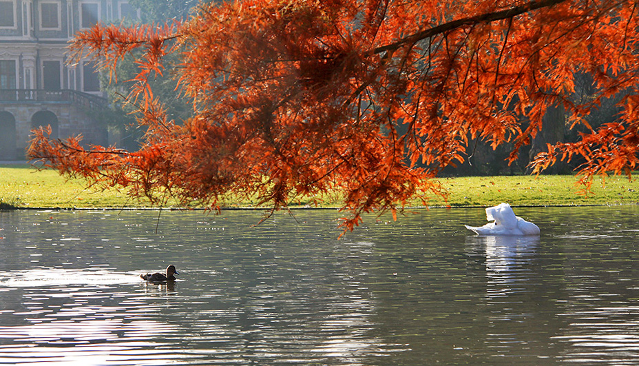 Stille (tranquilidad)