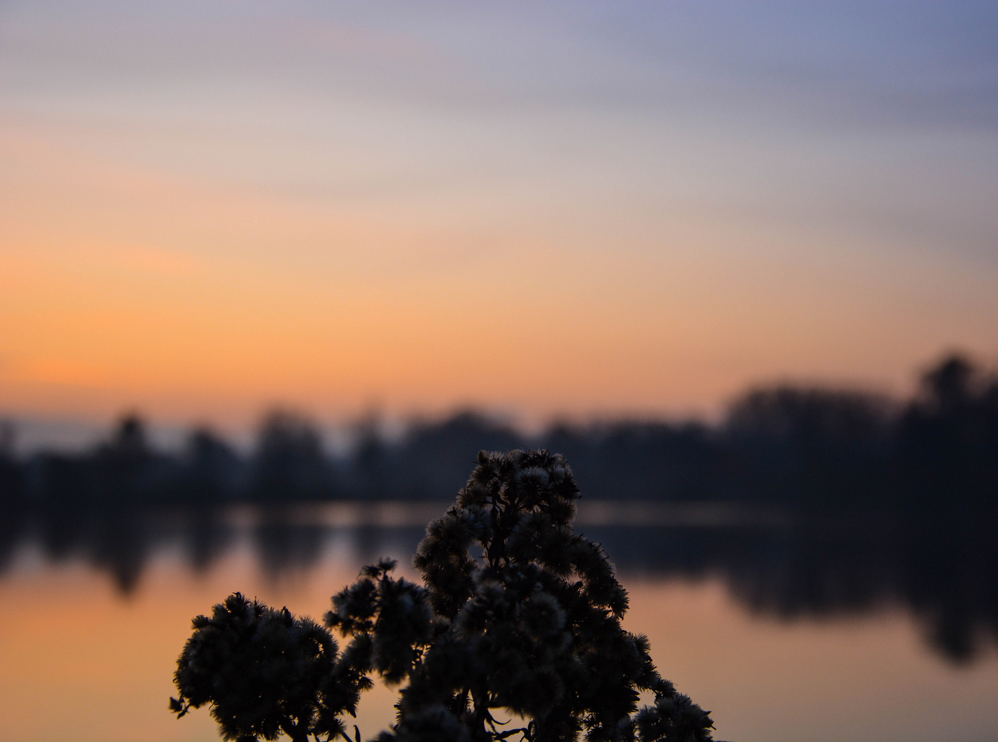 Stille über dem See