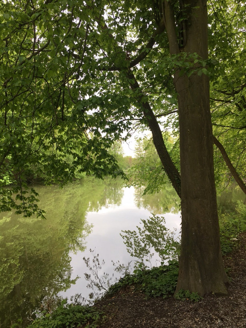 Stille über der Landschaft 