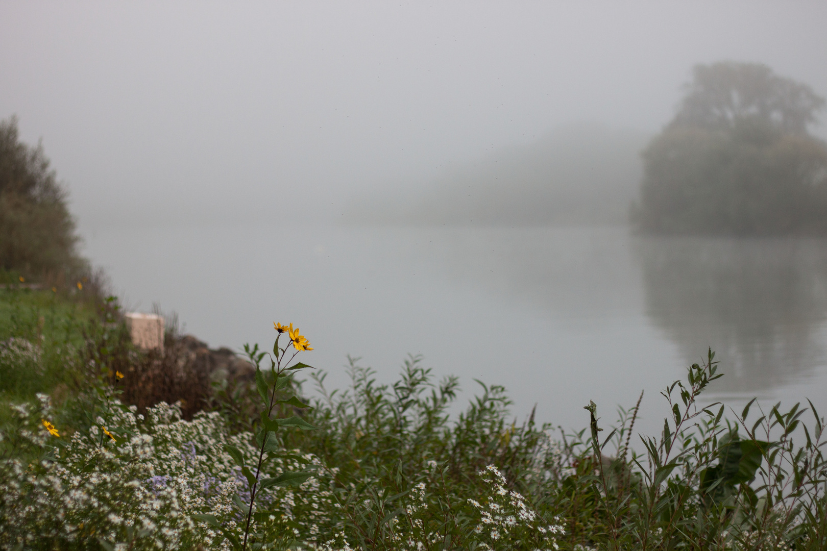 Stille über der Mosel