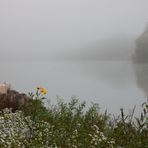 Stille über der Mosel