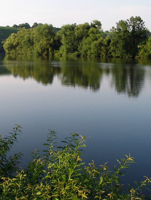 Stille Ufer und ruhiges Wasser