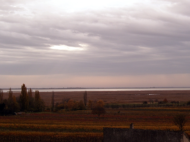 Stille um den Neusiedlersee