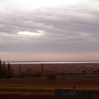 Stille um den Neusiedlersee