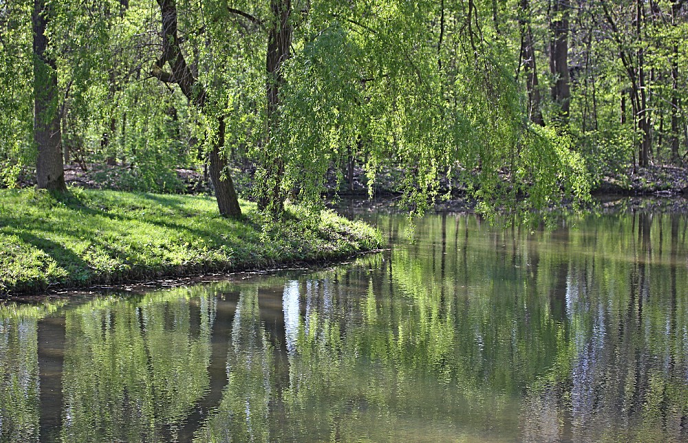 Stille um halb fünf