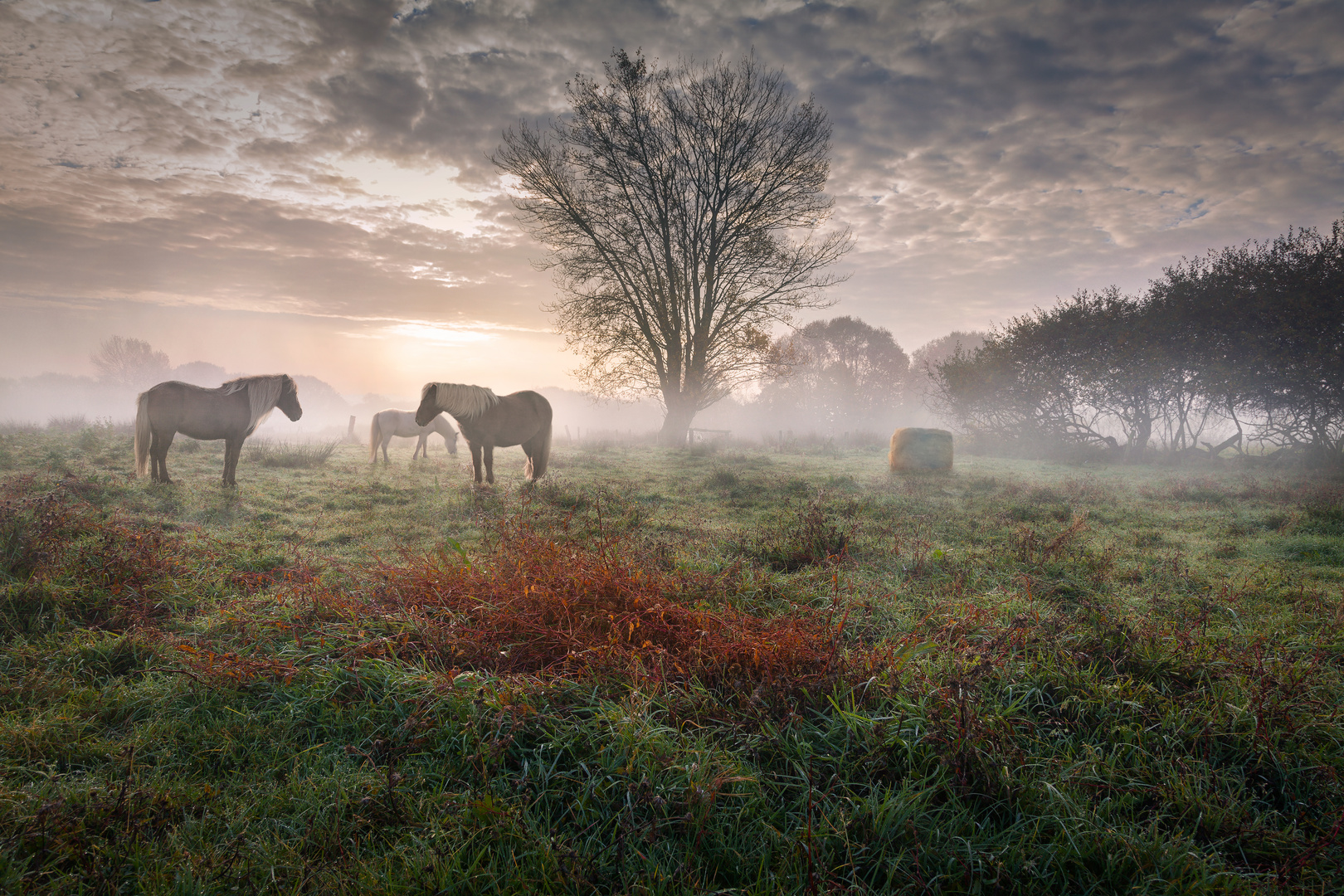 Stille und Harmonie