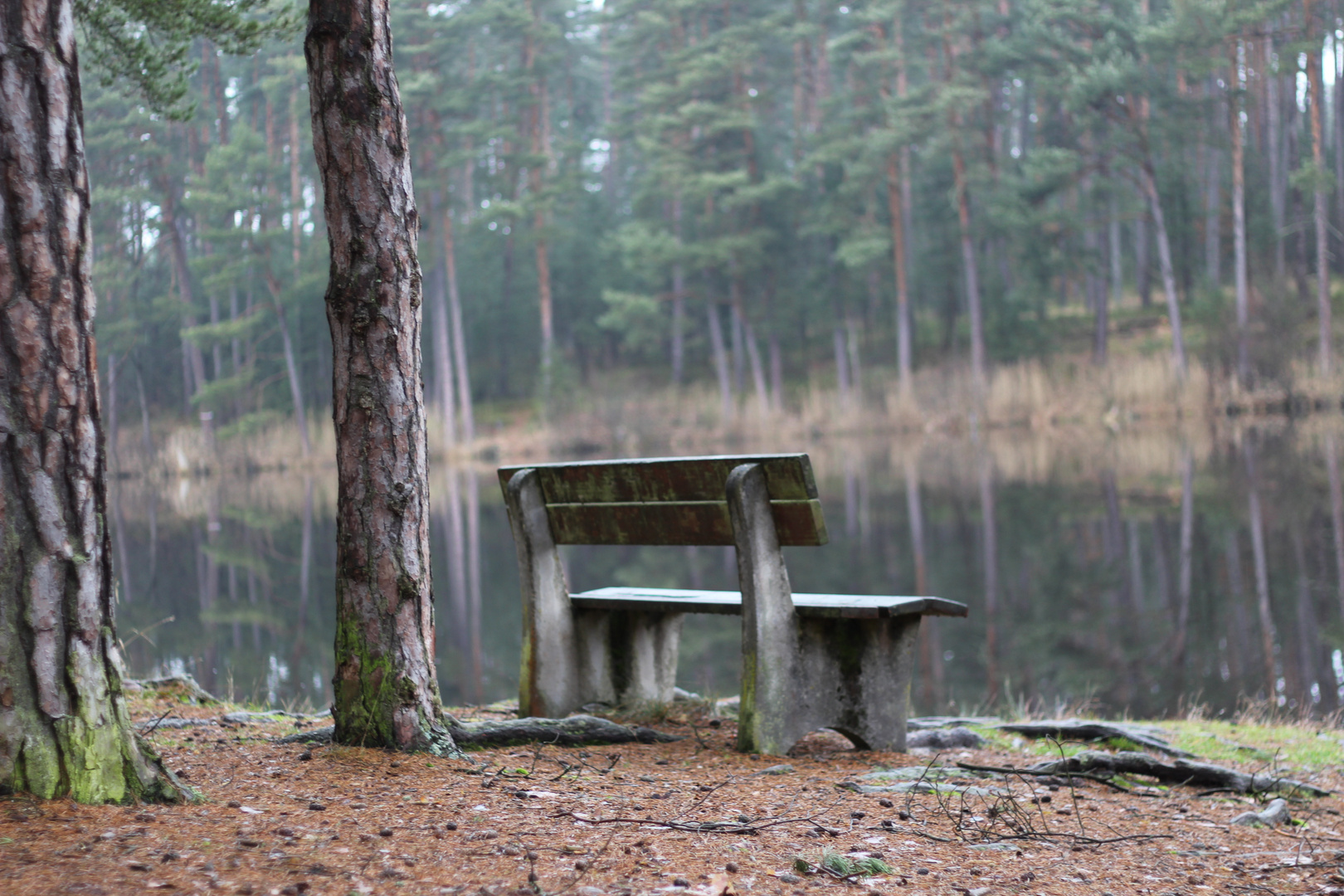 Stille und Schönheitder Natur