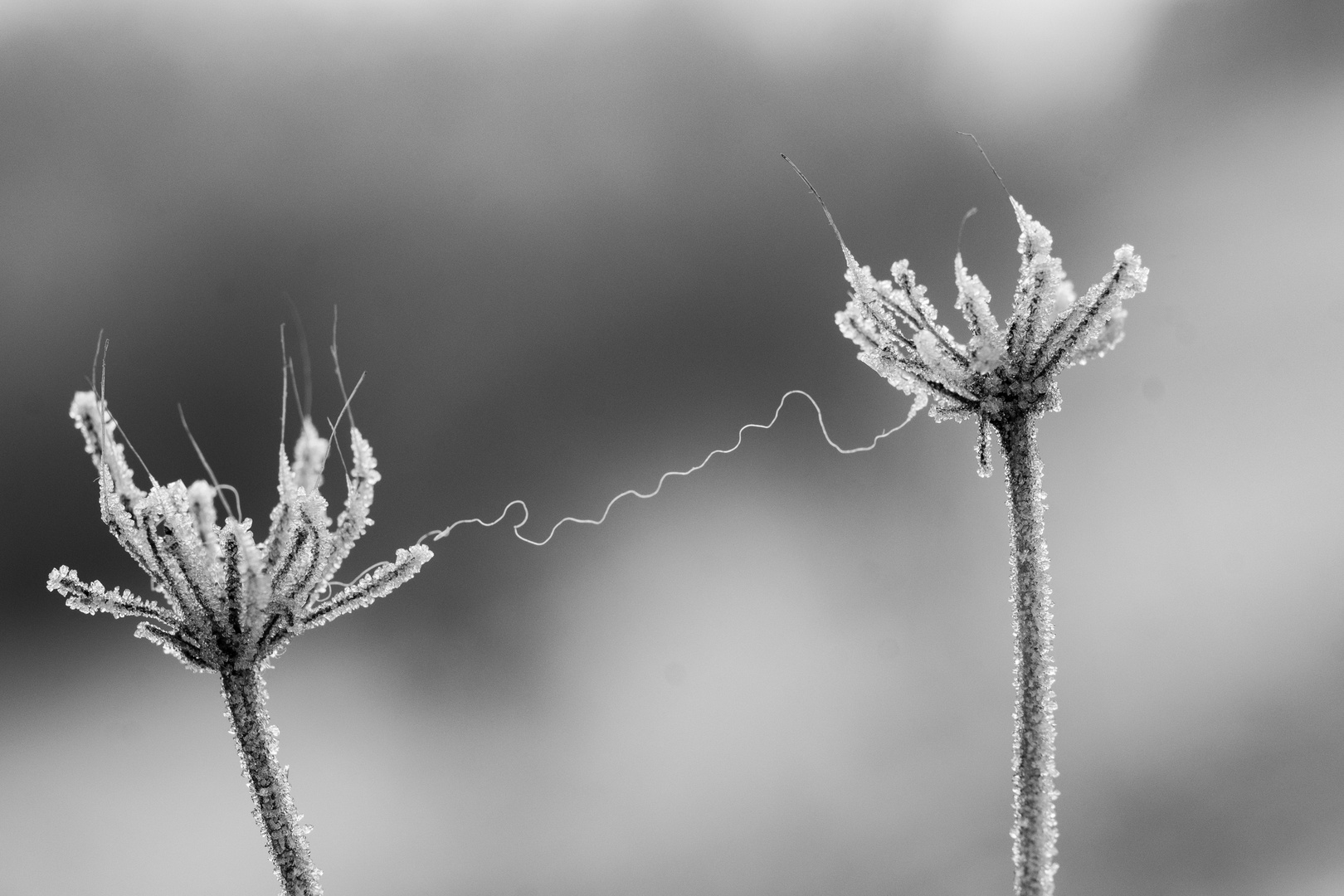 stille Verbindung