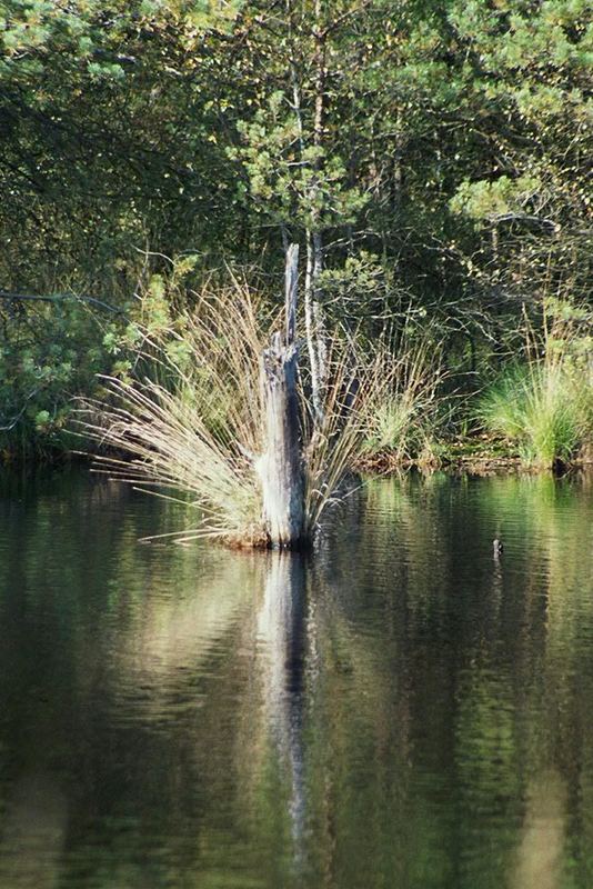 stille Vergangenheit