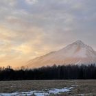 Stille vor dem Sturm 