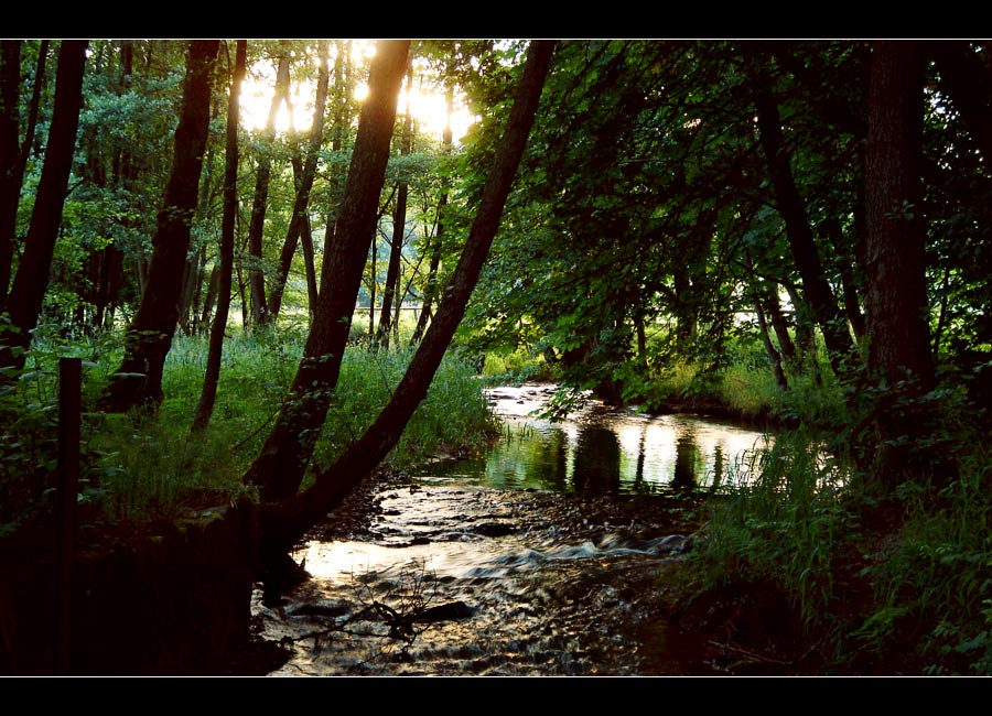 Stille Wasser...