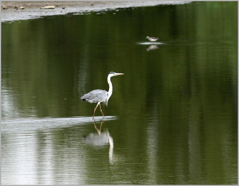 Stille Wasser