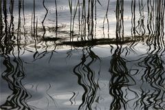 _stille Wasser_