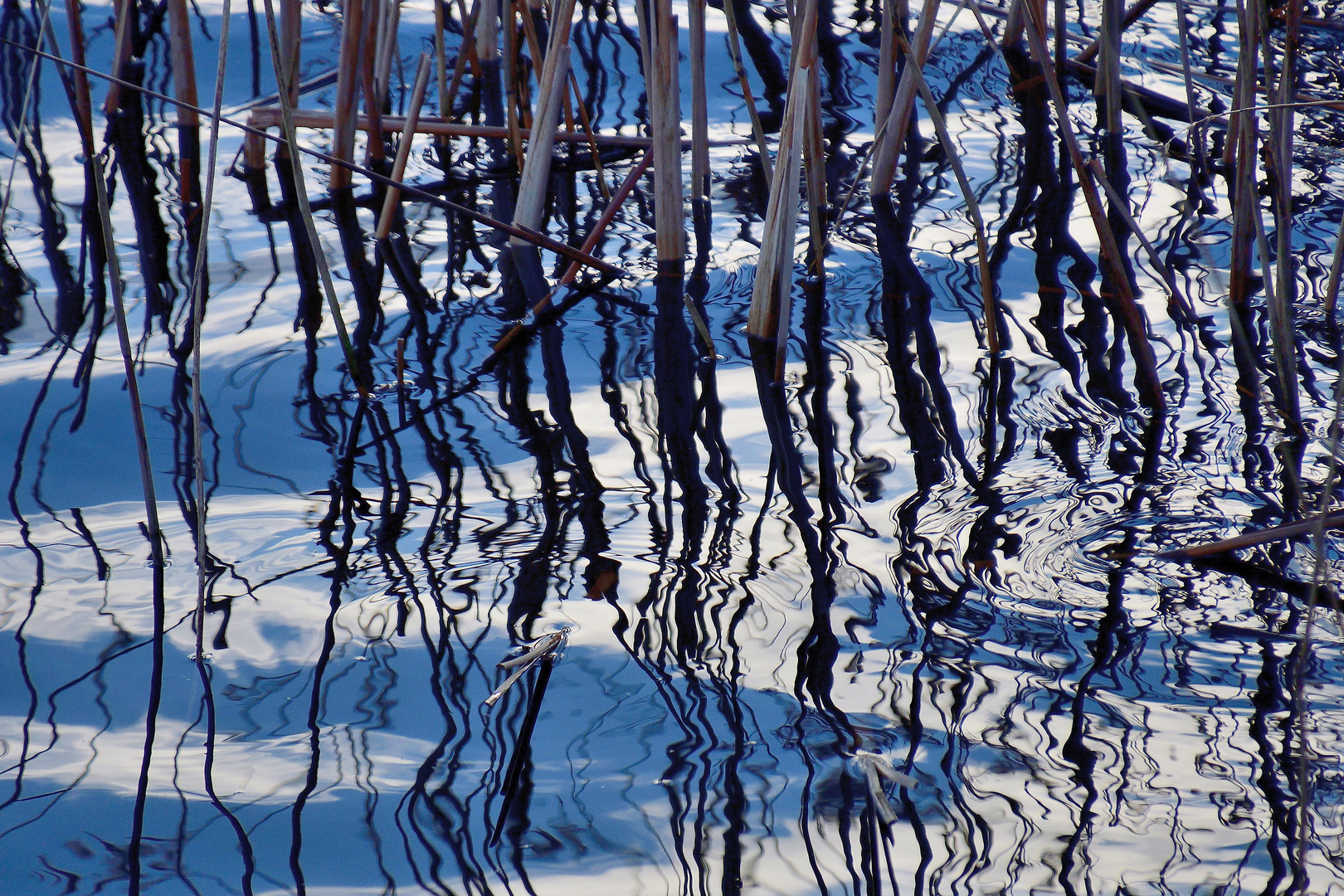 Stille Wasser...