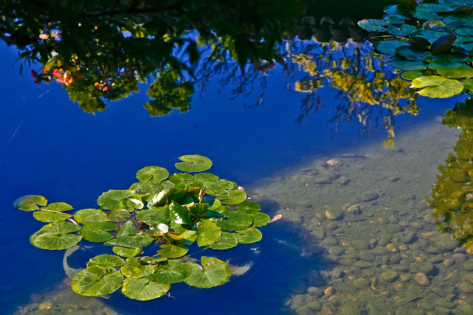 Stille Wasser