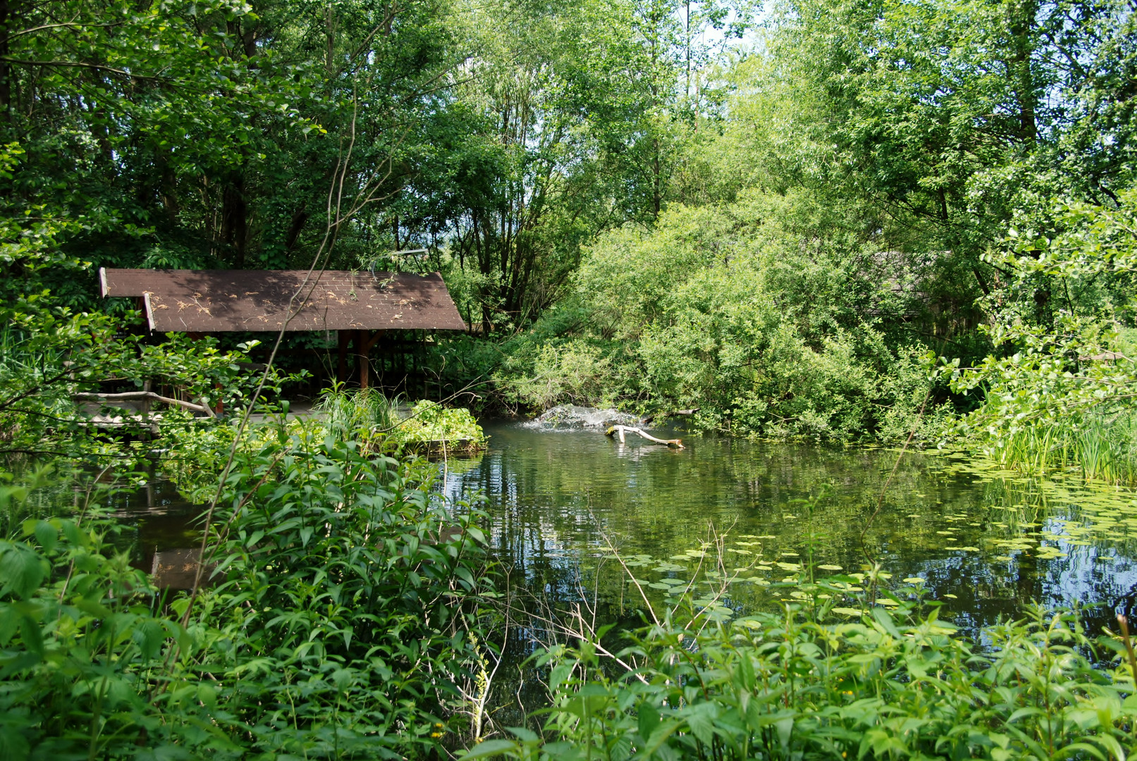 stille Wasser...