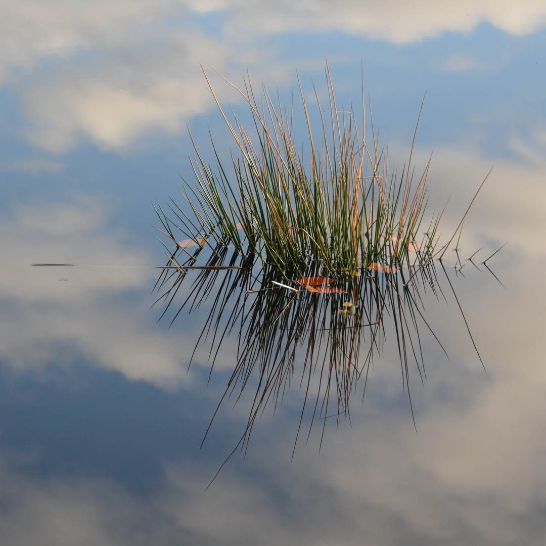 Stille Wasser