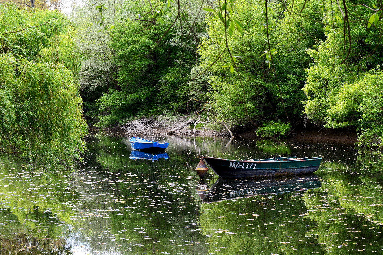 Stille Wasser...