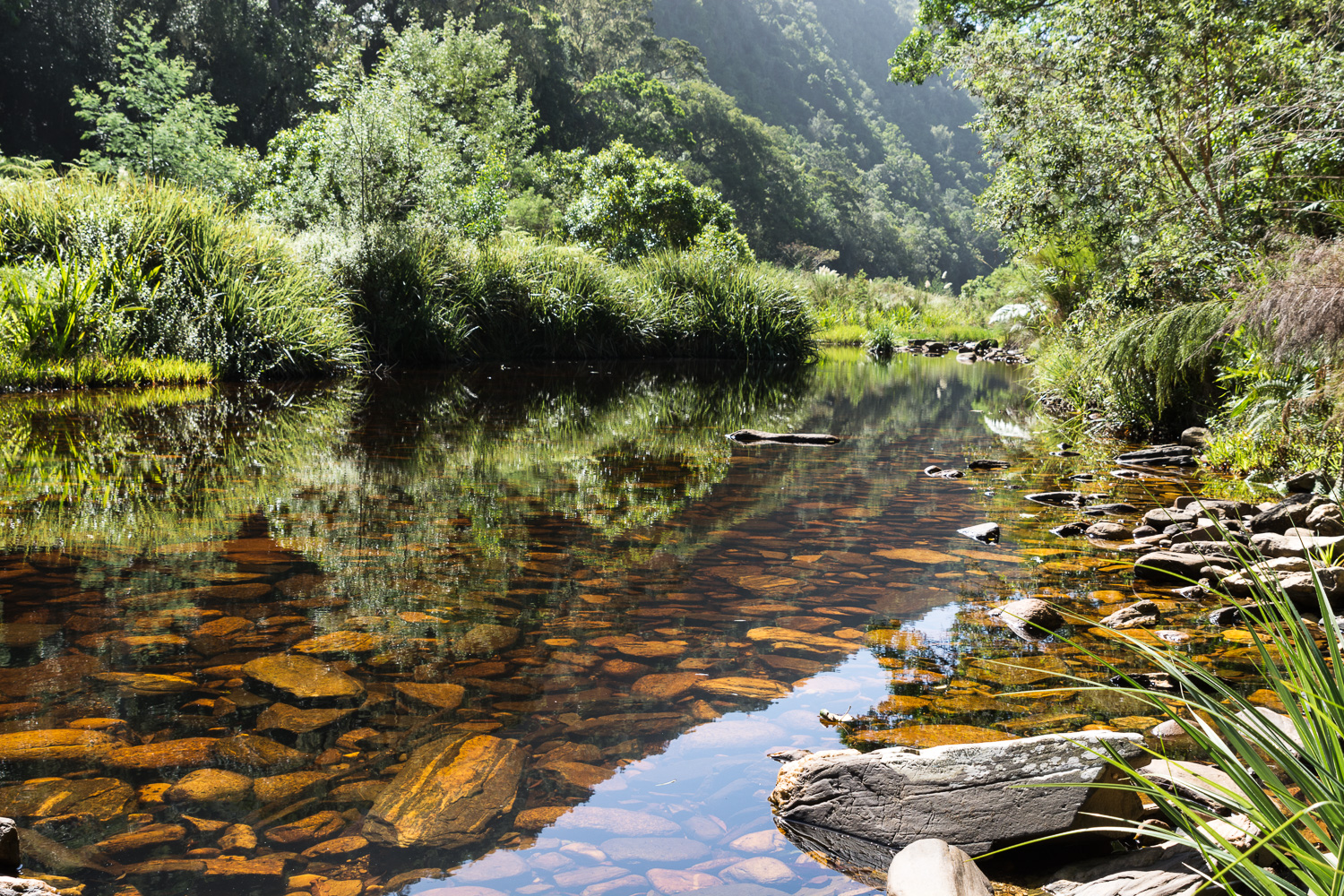 Stille Wasser