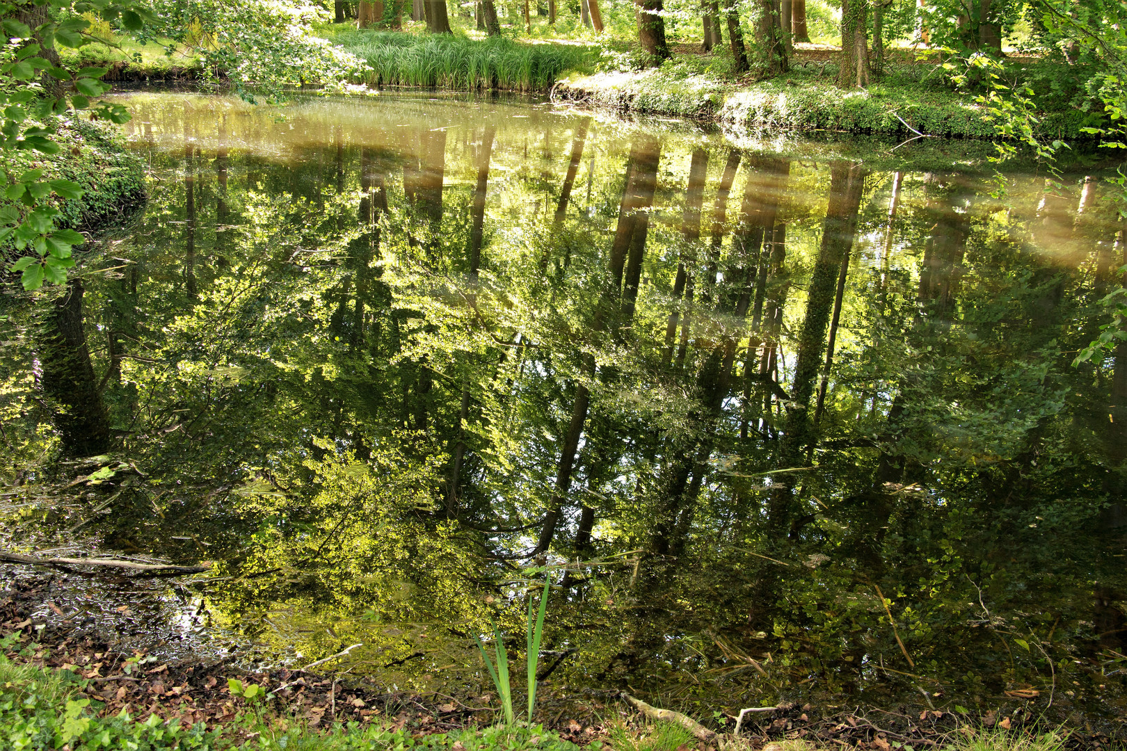 Stille Wasser...