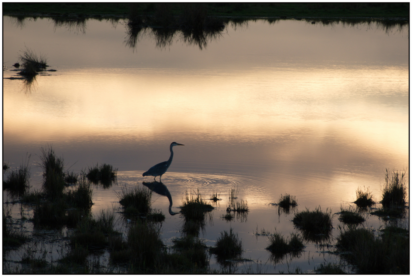 Stille Wasser