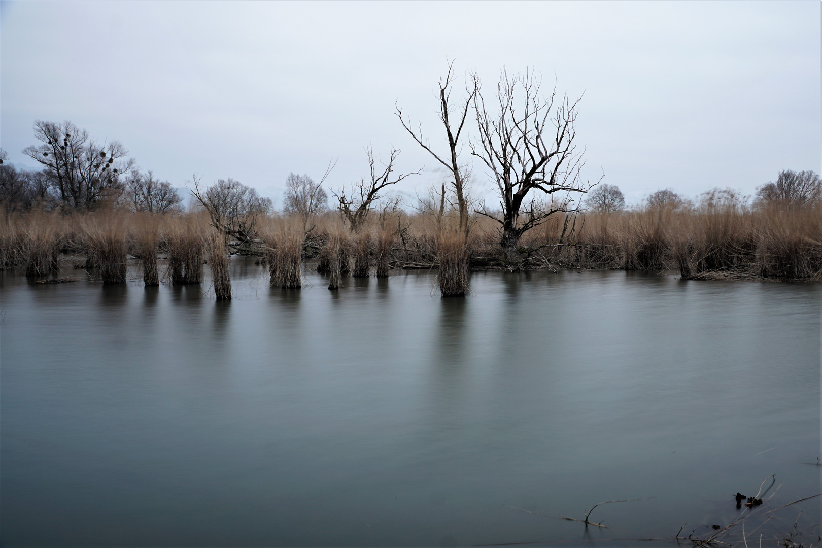 Stille Wasser