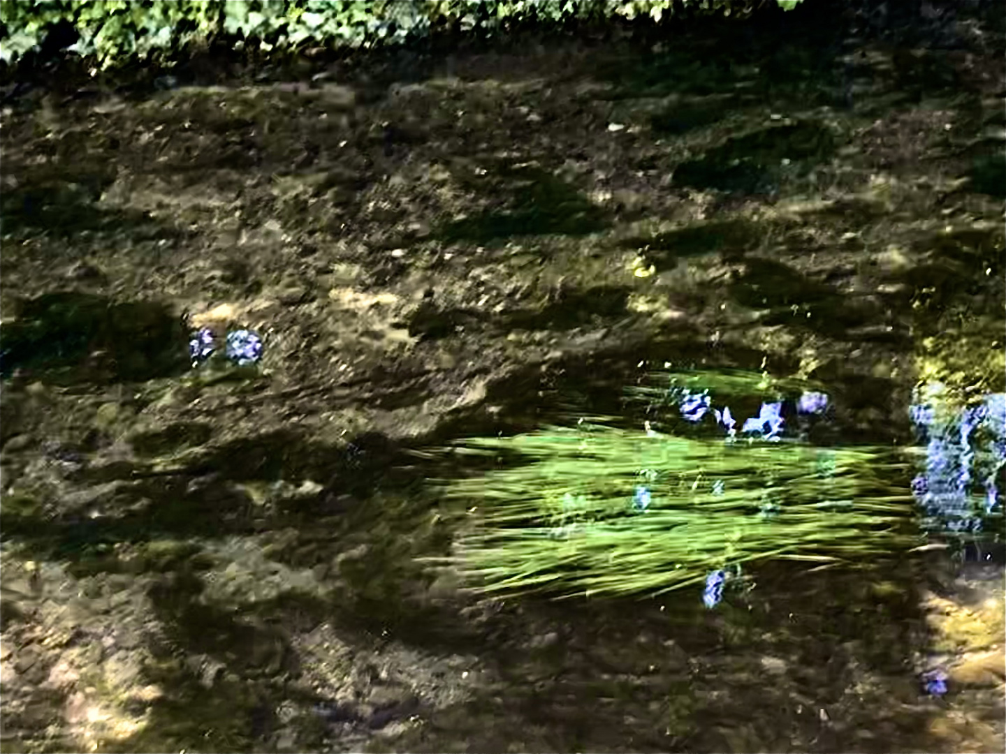 Stille Wasser gründen tief