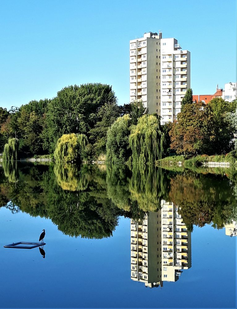 Stille Wasser in Berlin, am Lietzensee