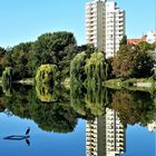 Stille Wasser in Berlin, am Lietzensee