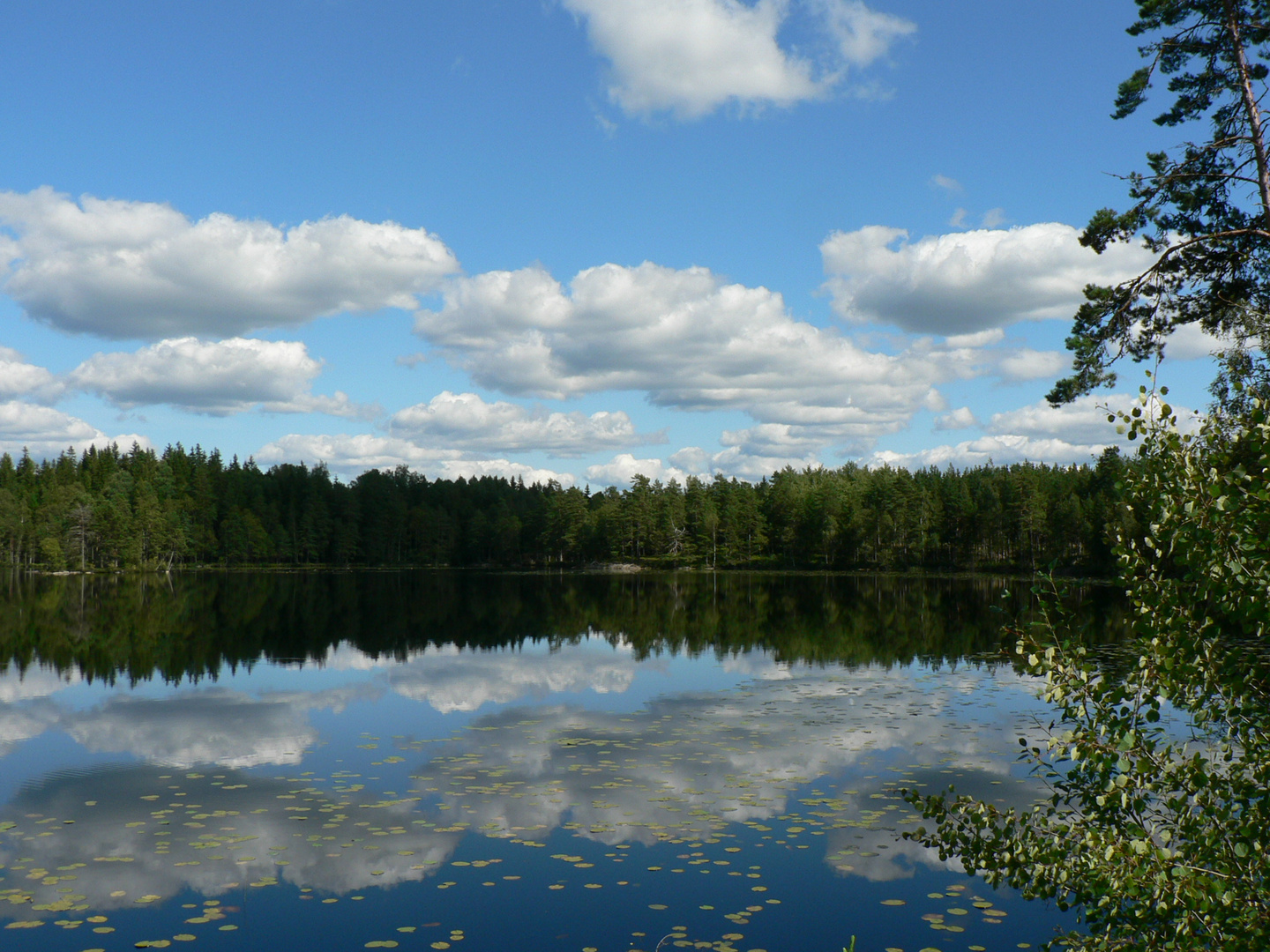 Stille Wasser in Schwedens Wildnis