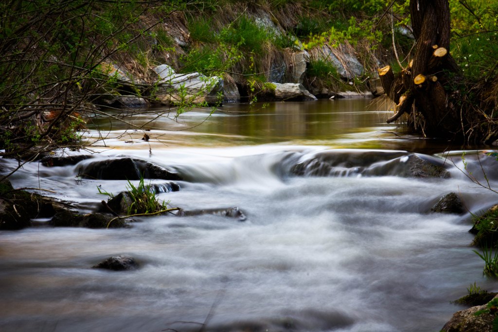 Stille Wasser sind tief.