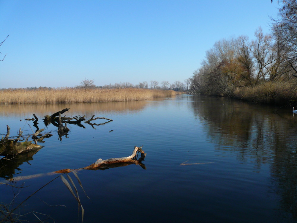 Stille Wasser sind tief II