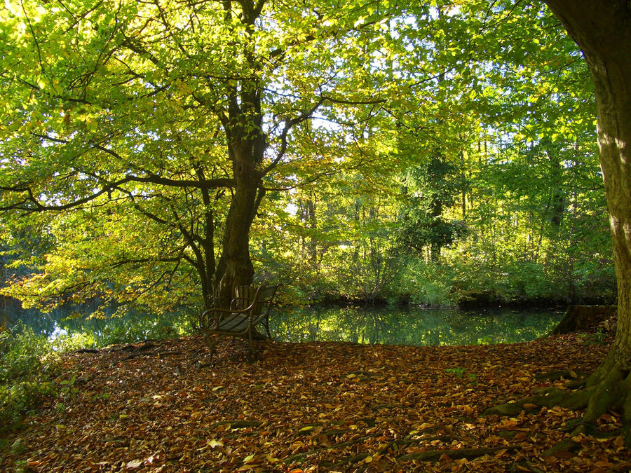 stille wege (4) nachmittag